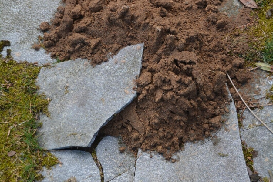 Soil Stabilization in Bartow